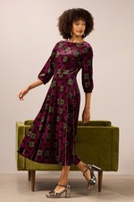 Seasalt Women's Tall Oak