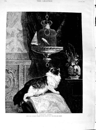 Old antique print - 1890, ronner
