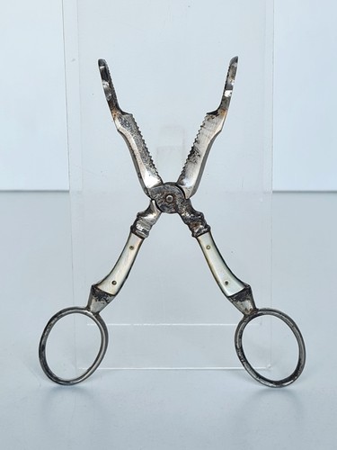 Antique sugar candy tongs - sugar,