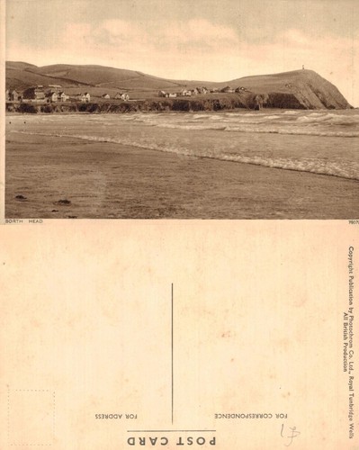 Vintage postcard borth head - vintage,