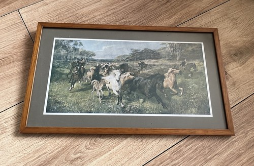 Antique framed print - antique, colt