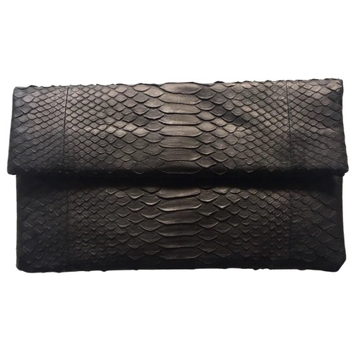 Primary new york python - primary,