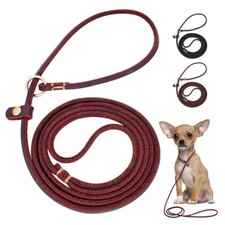 Leather Slip Dog Collar Lead
