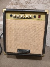 Kinsman KAA25 25W Acoustic