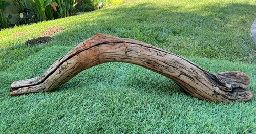 Large manzanita natural - large,