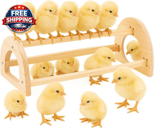 Chicken roosting perch bar - bar,