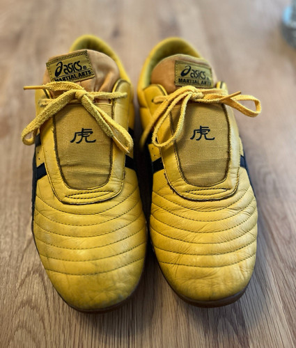 Vintage asics ilyeo dl308 - vintage,