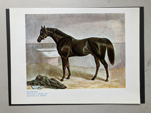 Vintage horse racing print - horse,
