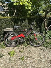 Barracuda Adult Bicycle