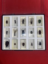 National Geographic Real life