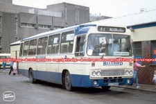 Bus photo midland bluebird - bus,