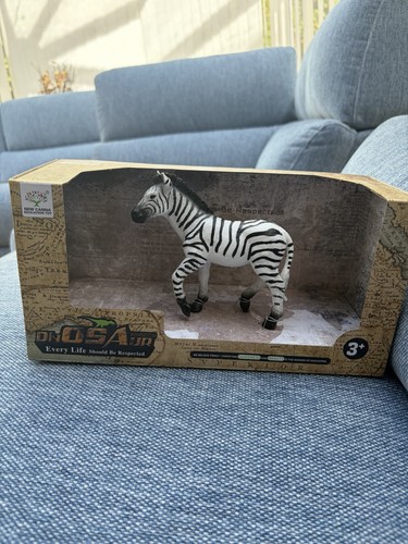 New canna zebra - canna,