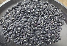 Kenya NJAHI Black Dry