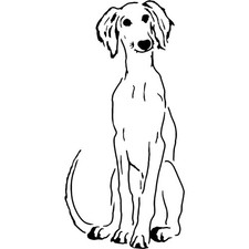 'Saluki Puppy' Stencils /
