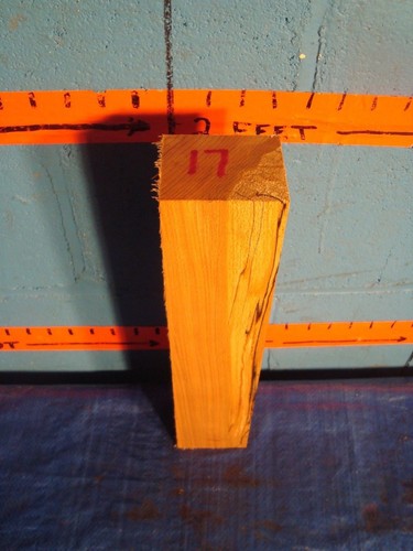 Spalted beech turning - ,