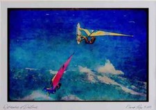 Sailing 339063 O'Neill Cup