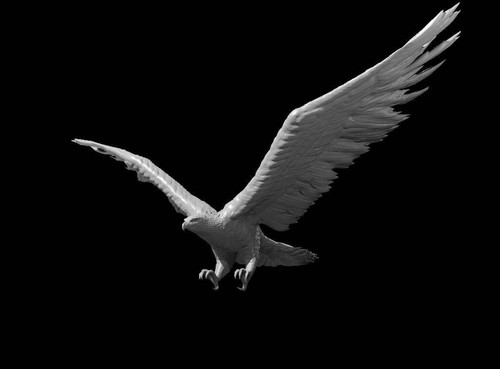 Giant eagle for - giant,