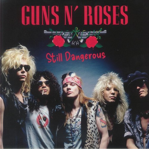 Guns roses destruction - guns,