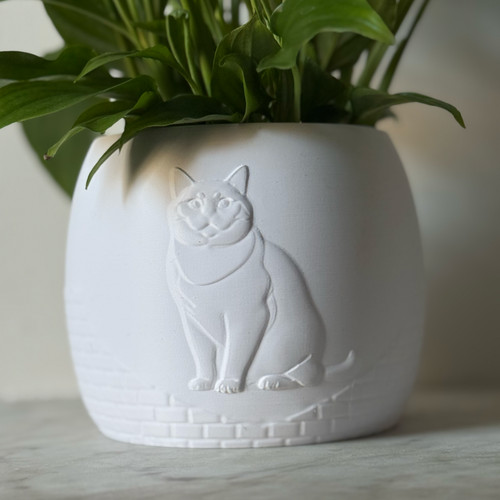 Self watering plant pot - self,