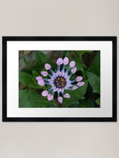 Whirligig Framed Art Print