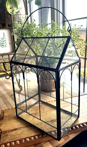 Vintage greenhouse terrarium - vintage,