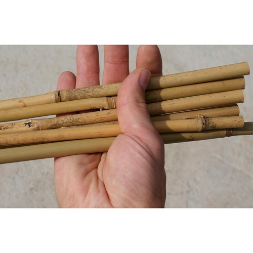 Large strong bamboo - strong, canes