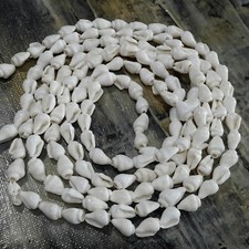 Natural Trumpet  Shell Bead,  6-11x4-7mm, Approx 160 pce Free Postage Oz Seller