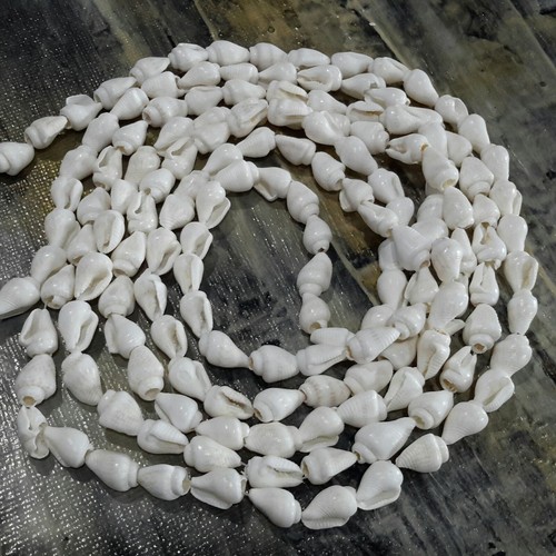 Natural trumpet shell bead - trumpet,