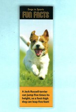 Bookmark Jack Russell Terrier