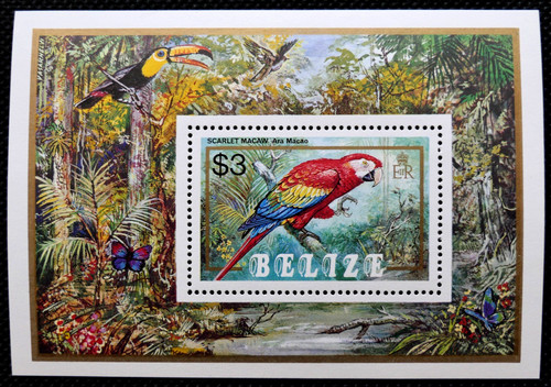 Birds scarlet macaw 1984 - scarlet, ~