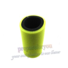 Dual Stage Air Filter For