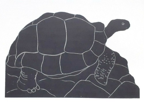 Giant tortoise 1920s - giant,