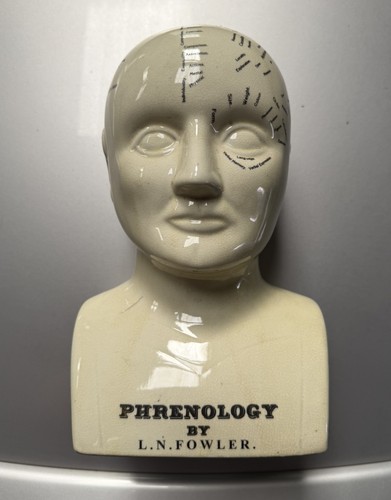 Phrenology head n - phrenology, fowler