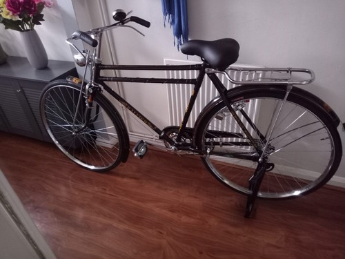 Raleigh bike - raleigh,