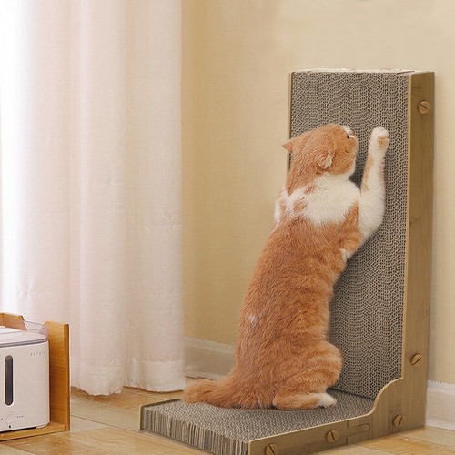 Shape standing cat - standing,