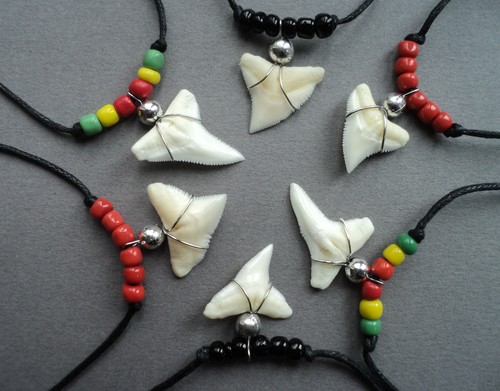 Shark tooth necklace - shark,