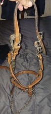 horse bridle