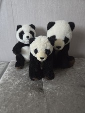 Panda teddy - panda, teddy's