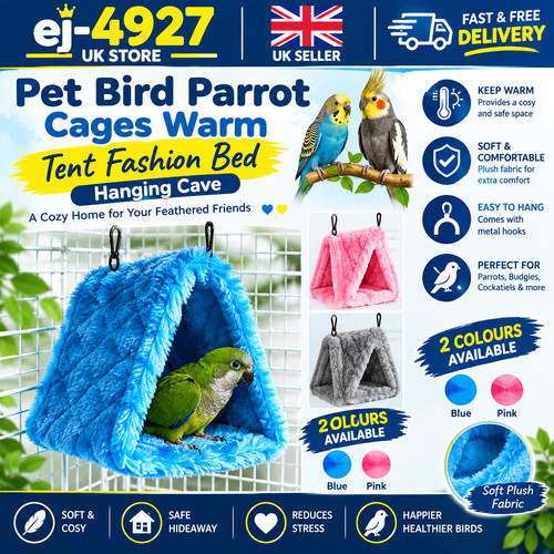 Pet bird warm - bird, cage