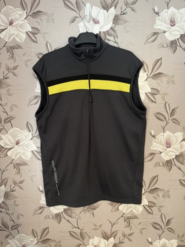 Galvin green insula - galvin,
