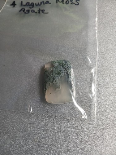 Laguna moss agate - laguna,