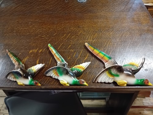 Flying ducks graduated - flying, vintage