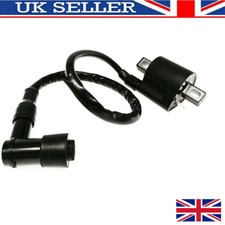 Ignition coil with spark plug