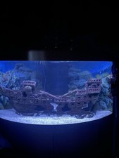 Juwel trigon 350 Corner Fish
