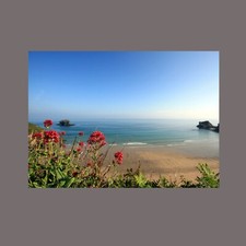 Portreath Beach Gull Rock
