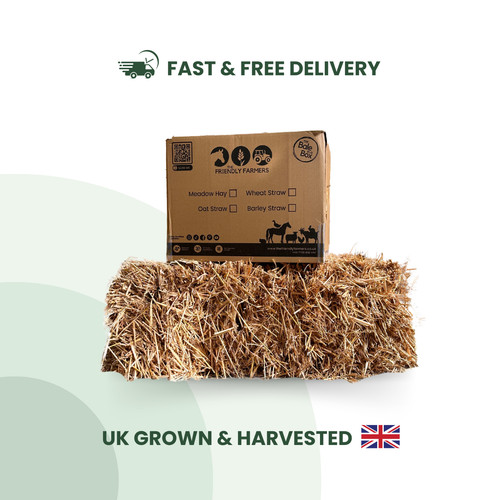Wheat straw box - wheat,