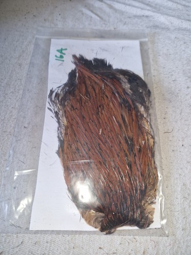Cock cape fly tying - cock,