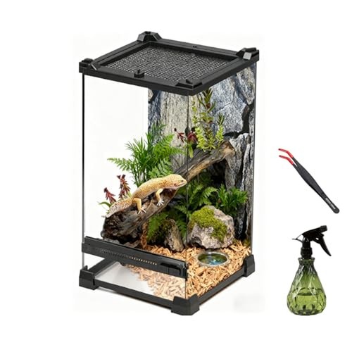 Reptile tall glass terrarium - tall,