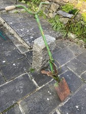 Vintage Wolf Terrex Auto Spade