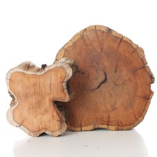 Yew Tree Slices